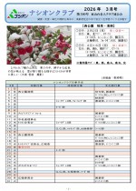 P.1.2026.3月-100_page-0001